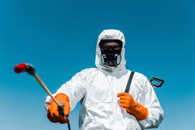 Best Termite Inspection and Treatment  in Highland, IL